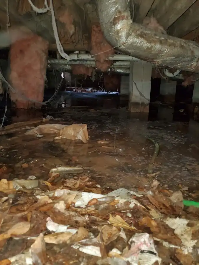 Crawl space flood assessment for Leak Detection & Repair in Baldwin City