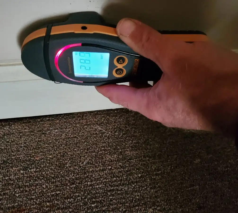 Moisture detection at baseboard during Mold Inspection & Testing in Baldwin City